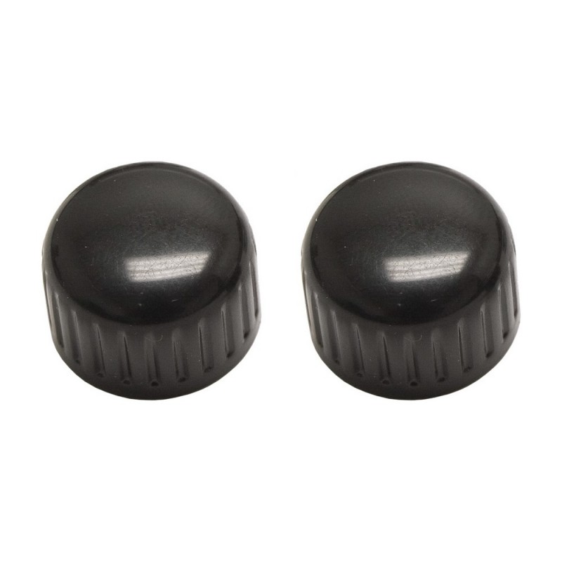 Set de 2 boutons de commande noirs style Euro pour autoradio Retrosound